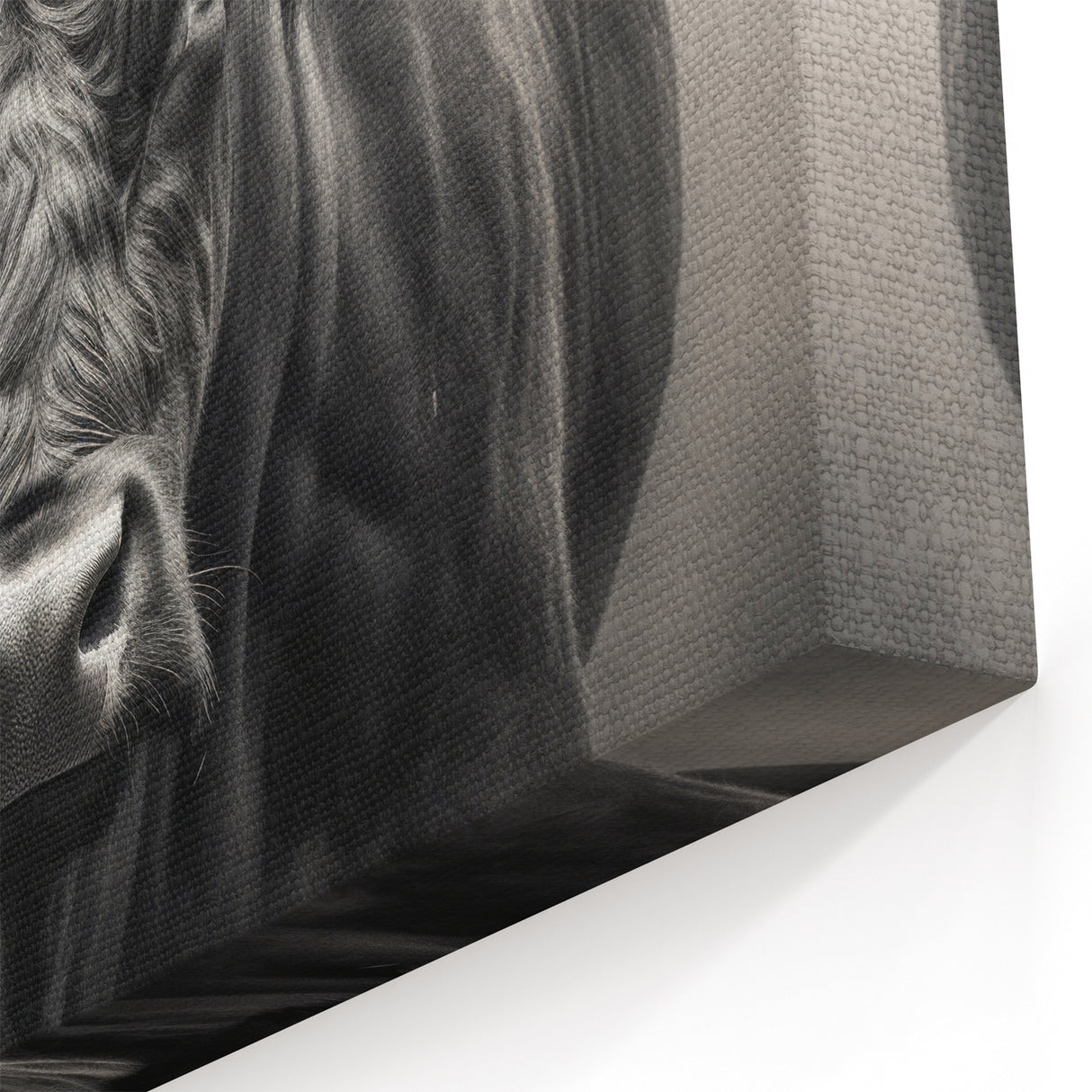 Monochrome Buffalo Wall Art - Majestic Bison Canvas Print Decor