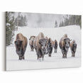 Winter Bison Wall Art - Majestic Buffalo Canvas Print for Rustic Decor