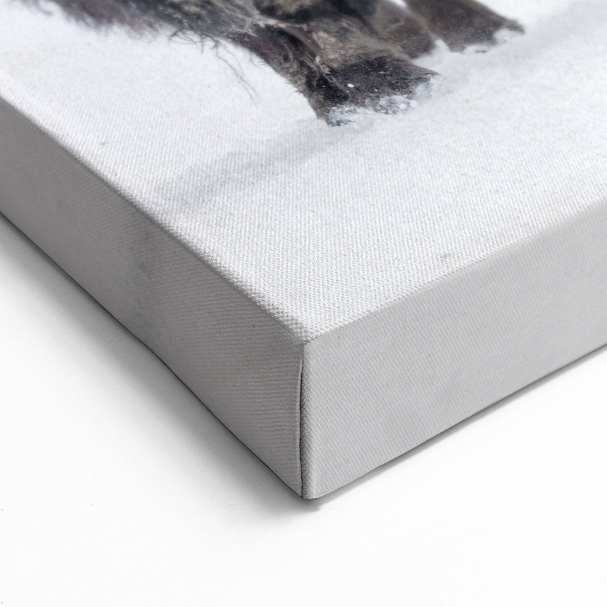 Winter Bison Wall Art - Majestic Buffalo Canvas Print for Rustic Decor