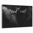 Dark Elegance Bat Art - Majestic Black and White Wildlife Photography