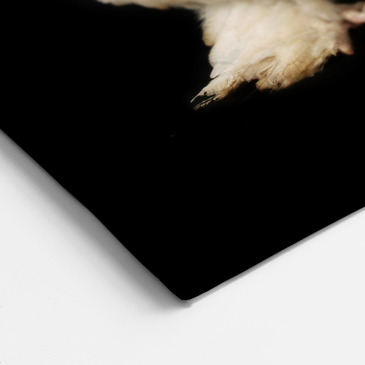 Majestic Chicken Duo - Elegant Wall Art for Modern Farmhouse Decor