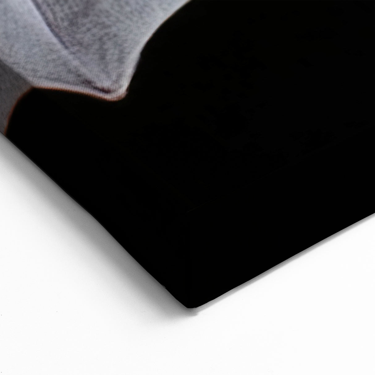 Charming Bat Wildlife Art - Stunning Bat Photography for Modern Decor