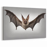 Graceful Bat Wall Art - Stunning Bat Wildlife Photography for Modern Decor