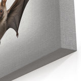 Graceful Bat Wall Art - Stunning Bat Wildlife Photography for Modern Decor