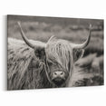 Rustic Highland Cow Wall Art - Cow Canvas Art for Farmhouse Decor