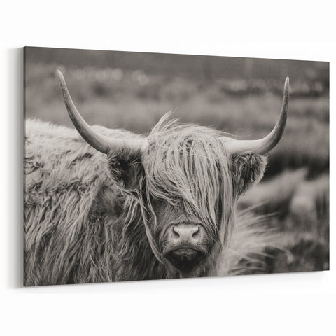Rustic Highland Cow Wall Art - Cow Canvas Art for Farmhouse Decor
