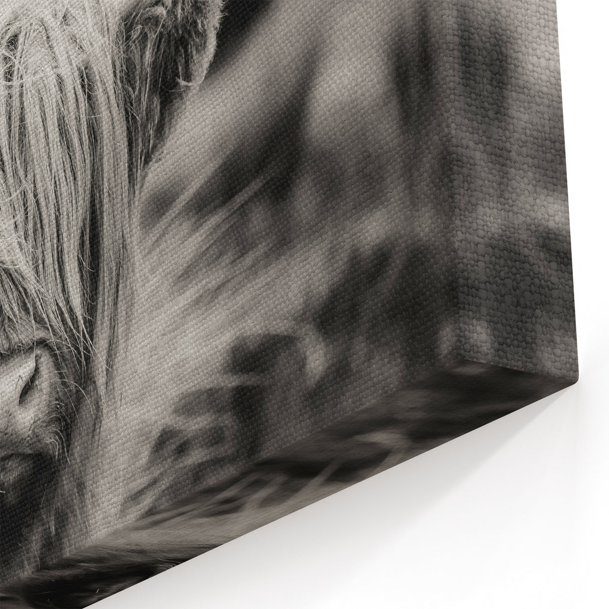 Rustic Highland Cow Wall Art - Cow Canvas Art for Farmhouse Decor