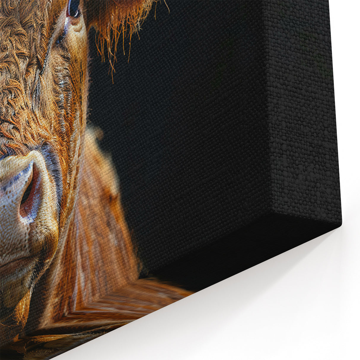 Majestic Brown Cow Wall Art - Cow Canvas Art for Rustic Decor