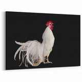 Graceful White Rooster - Stunning Chicken Wall Art for Modern Decor