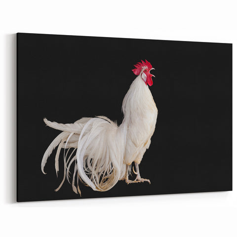 Graceful White Rooster - Stunning Chicken Wall Art for Modern Decor