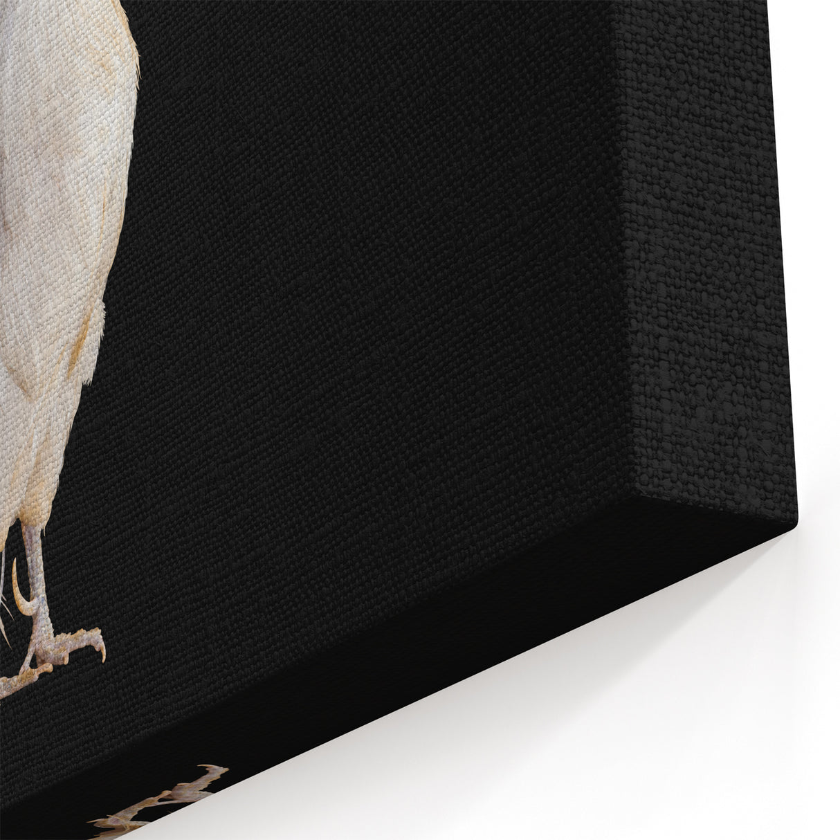 Graceful White Rooster - Stunning Chicken Wall Art for Modern Decor