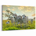 White Cows in Pasture Wall Art - Peaceful Cow Canvas for Farmhouse Decor