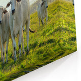White Cows in Pasture Wall Art - Peaceful Cow Canvas for Farmhouse Decor