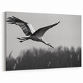 Majestic Crane Wall Art – Elegant Crane in Flight on Canvas & Acrylic