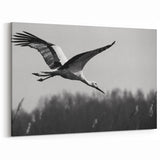 Majestic Crane Wall Art – Elegant Crane in Flight on Canvas & Acrylic
