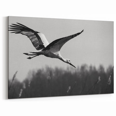 Majestic Crane Wall Art – Elegant Crane in Flight on Canvas & Acrylic