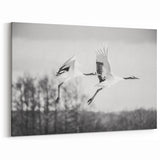 Graceful Crane Wall Art – Pair of Cranes in Flight on Canvas & Acrylic