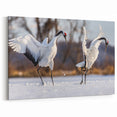 Dynamic Crane Wall Art – Dancing Cranes on Snowy Landscape Canvas Print
