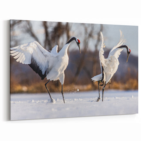 Dynamic Crane Wall Art – Dancing Cranes on Snowy Landscape Canvas Print