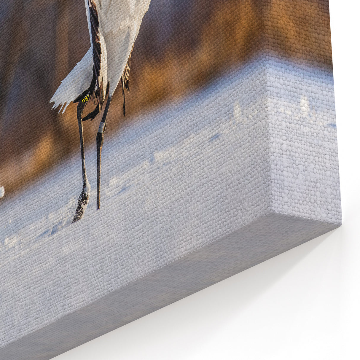 Dynamic Crane Wall Art – Dancing Cranes on Snowy Landscape Canvas Print