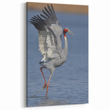 Vibrant Crane Wall Art – Striking Red-Crowned Crane on Canvas & Acrylic