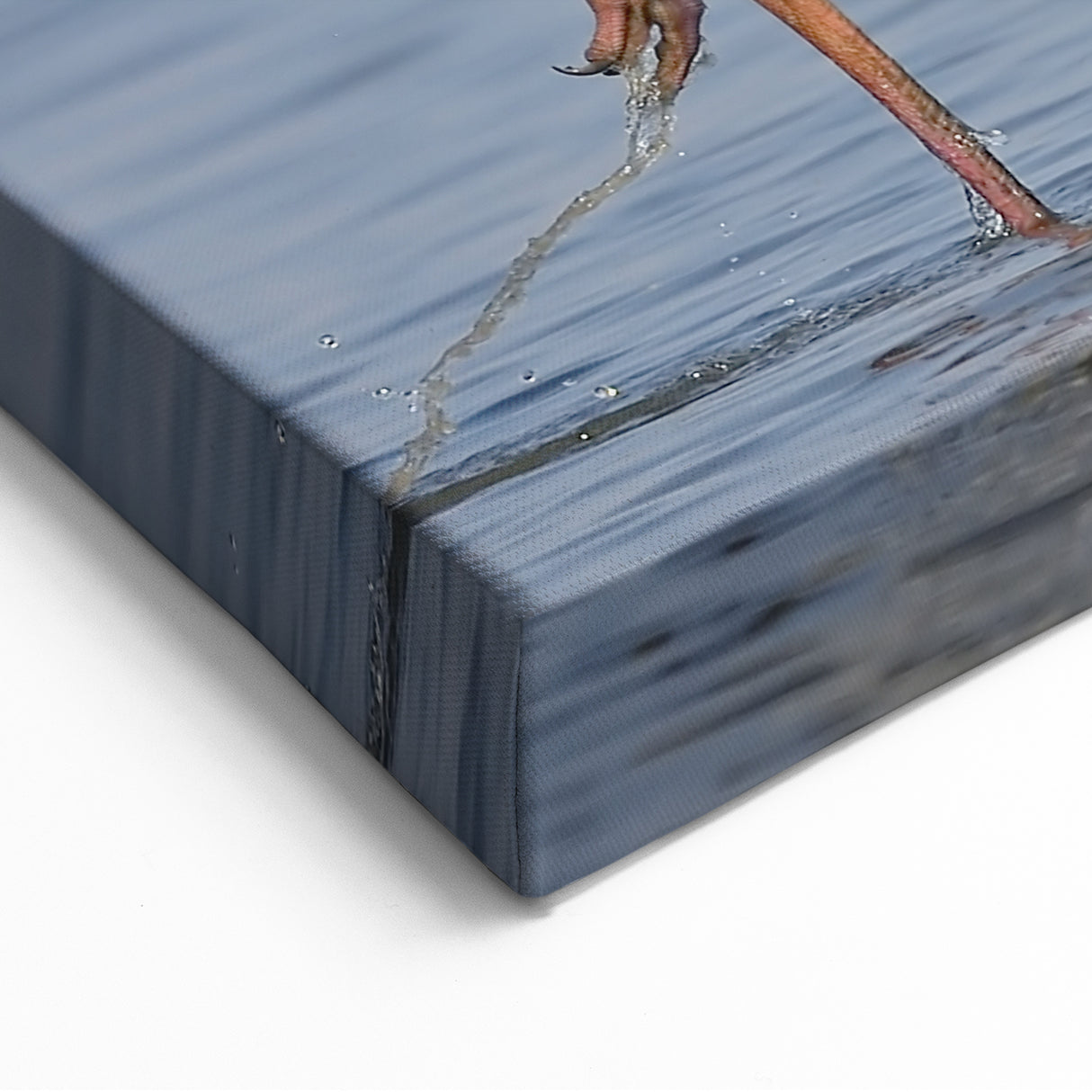 Vibrant Crane Wall Art – Striking Red-Crowned Crane on Canvas & Acrylic