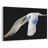 Striking Crane Wall Art – Elegant White Crane on Black Background Canvas
