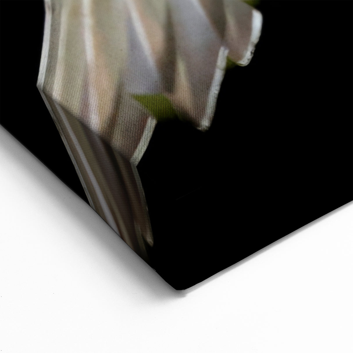 Striking Crane Wall Art – Elegant White Crane on Black Background Canvas