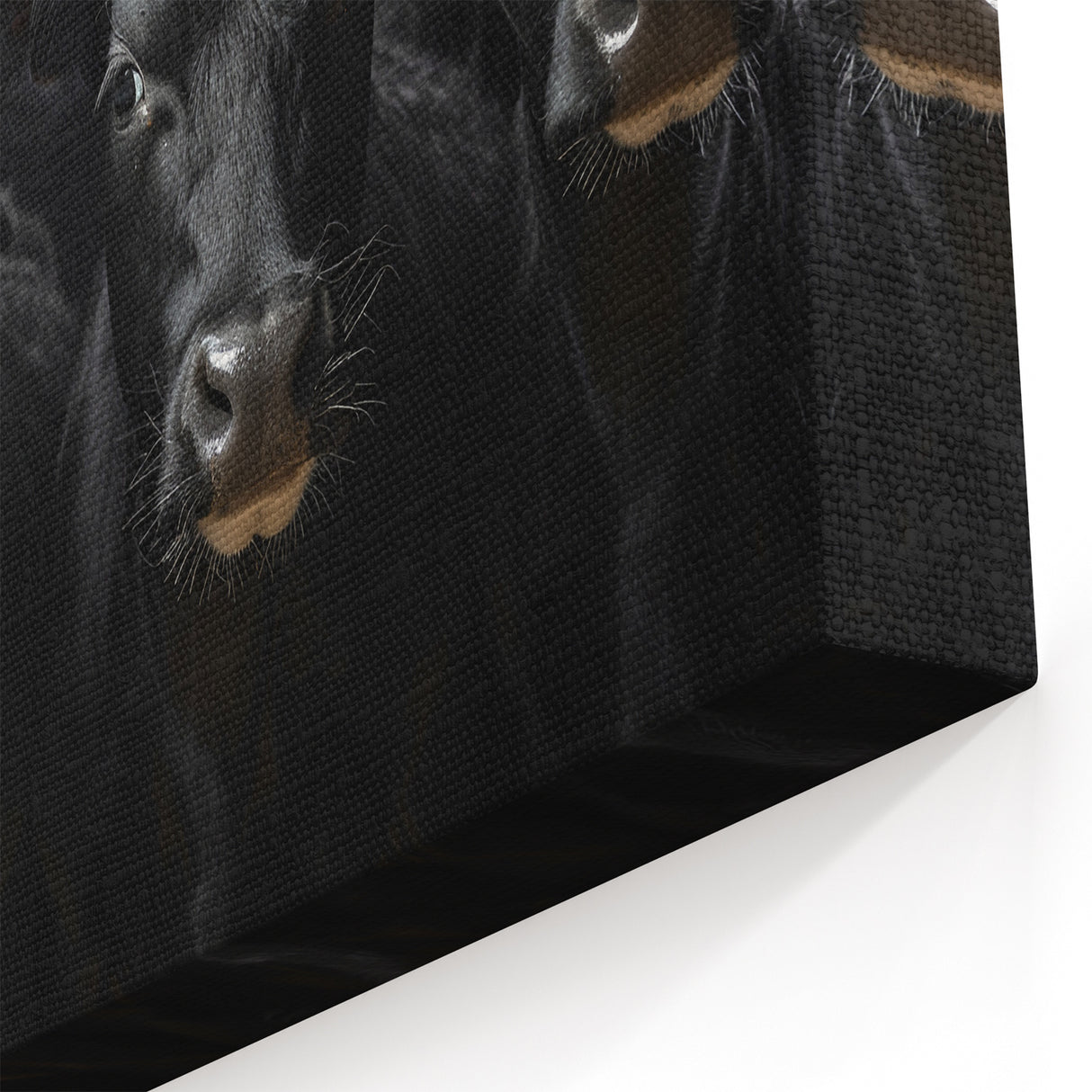 Black Cows Wall Art - Dramatic Cow Canvas for Modern Decor