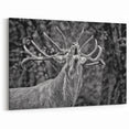 Majestic Deer Wall Art - Rustic Woodland Decor - Deer Canvas Art Print