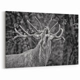 Majestic Deer Wall Art - Rustic Woodland Decor - Deer Canvas Art Print
