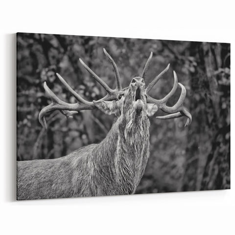Majestic Deer Wall Art - Rustic Woodland Decor - Deer Canvas Art Print