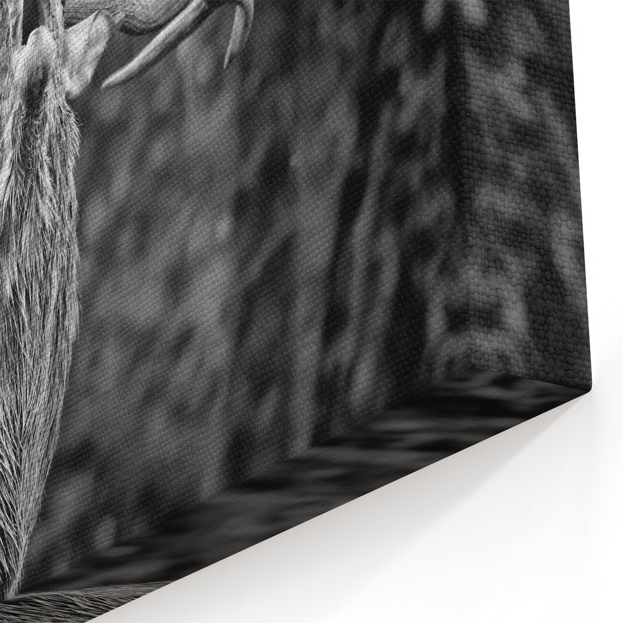 Majestic Deer Wall Art - Rustic Woodland Decor - Deer Canvas Art Print