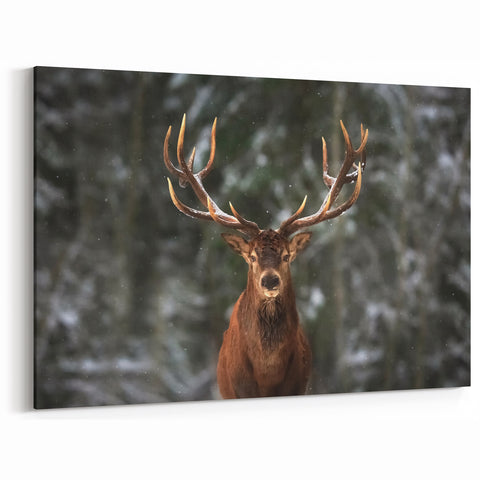 Winter Deer Wall Art - Rustic Wildlife Decor - Deer Canvas Art Print
