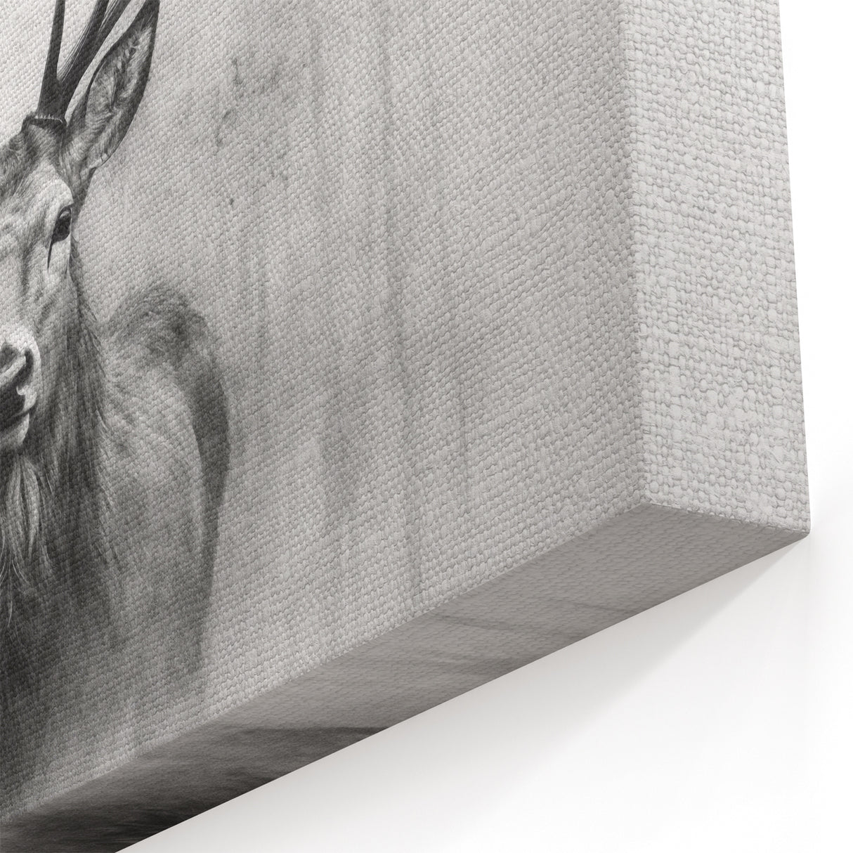 Elegant Deer Wall Art - Minimalist Wildlife Decor - Deer Canvas Print