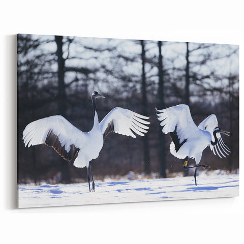 Graceful Crane Wall Art – Dancing Cranes in Snow on Canvas & Acrylic