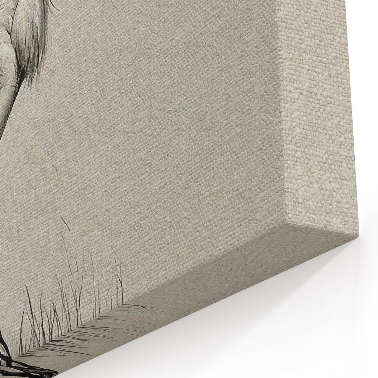 Elegant Crane Wall Art – Detailed Black and White Crane Illustration