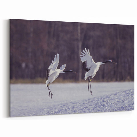 Graceful Crane Wall Art – Cranes in Mid-Air Flight on Canvas & Acrylic