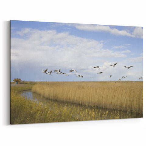 Elegant Crane Wall Art - Majestic Crane Flight over Serene Wetlands Canvas