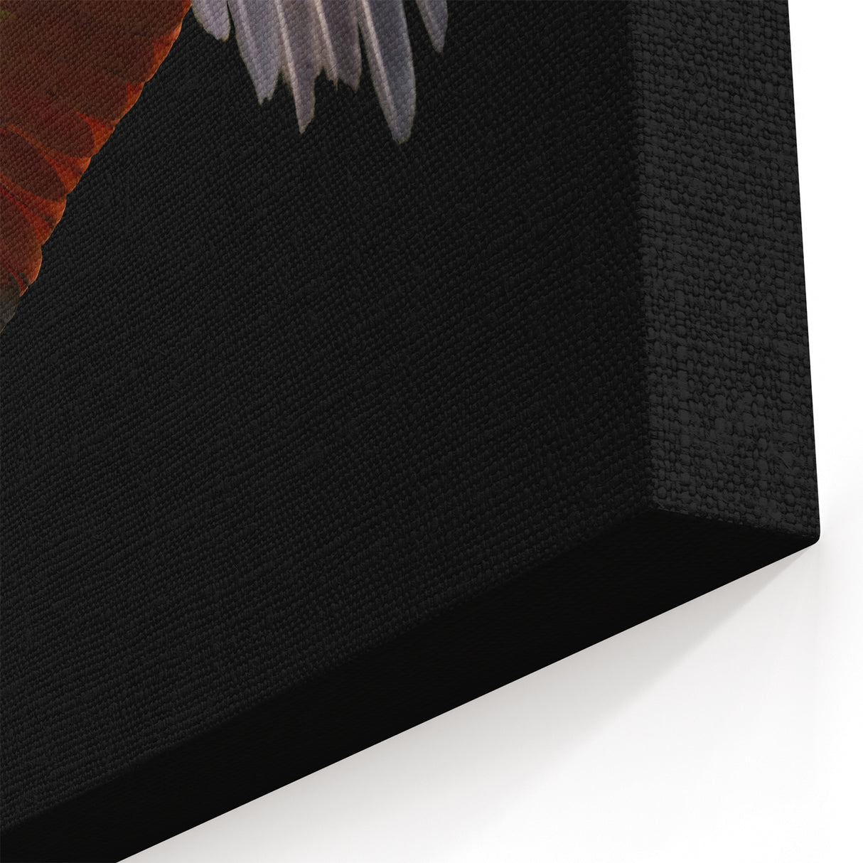 Elegant Crane Wall Art - Vibrant Crane in Flight Against Black Canvas