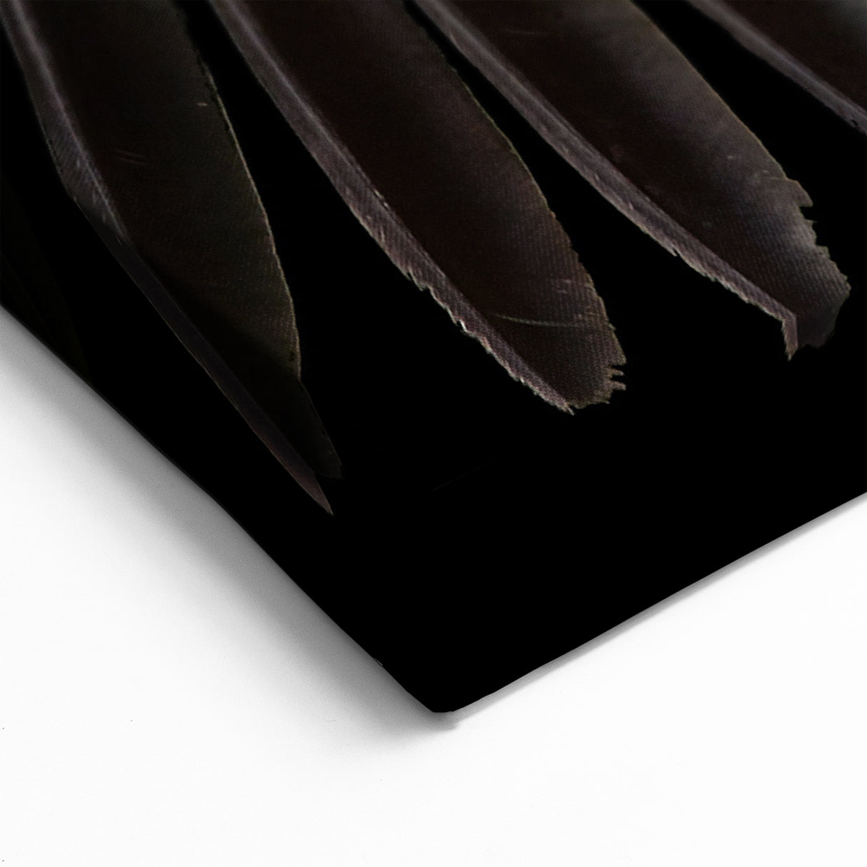 Elegant Crane Wall Art - Vibrant Crane in Flight Against Black Canvas