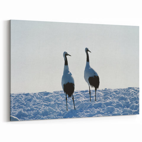 Elegant Crane Wall Art - Serene Cranes in Snowy Landscape Canvas Print