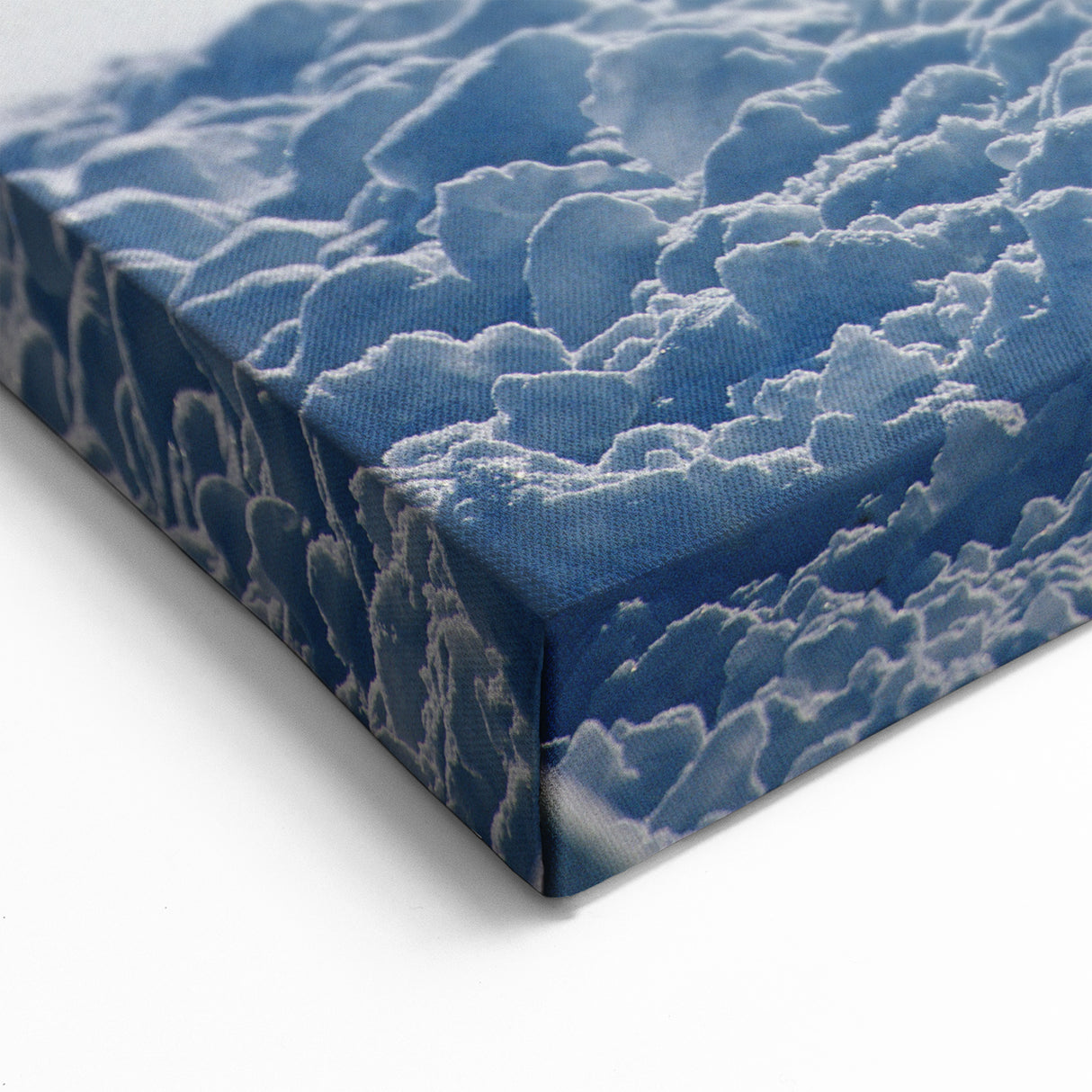 Elegant Crane Wall Art - Serene Cranes in Snowy Landscape Canvas Print