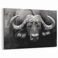 Bold Monochrome Buffalo Art - Black and White Bison Canvas Print