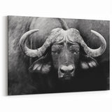 Bold Monochrome Buffalo Art - Black and White Bison Canvas Print