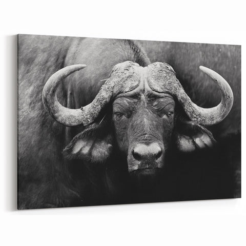 Bold Monochrome Buffalo Art - Black and White Bison Canvas Print