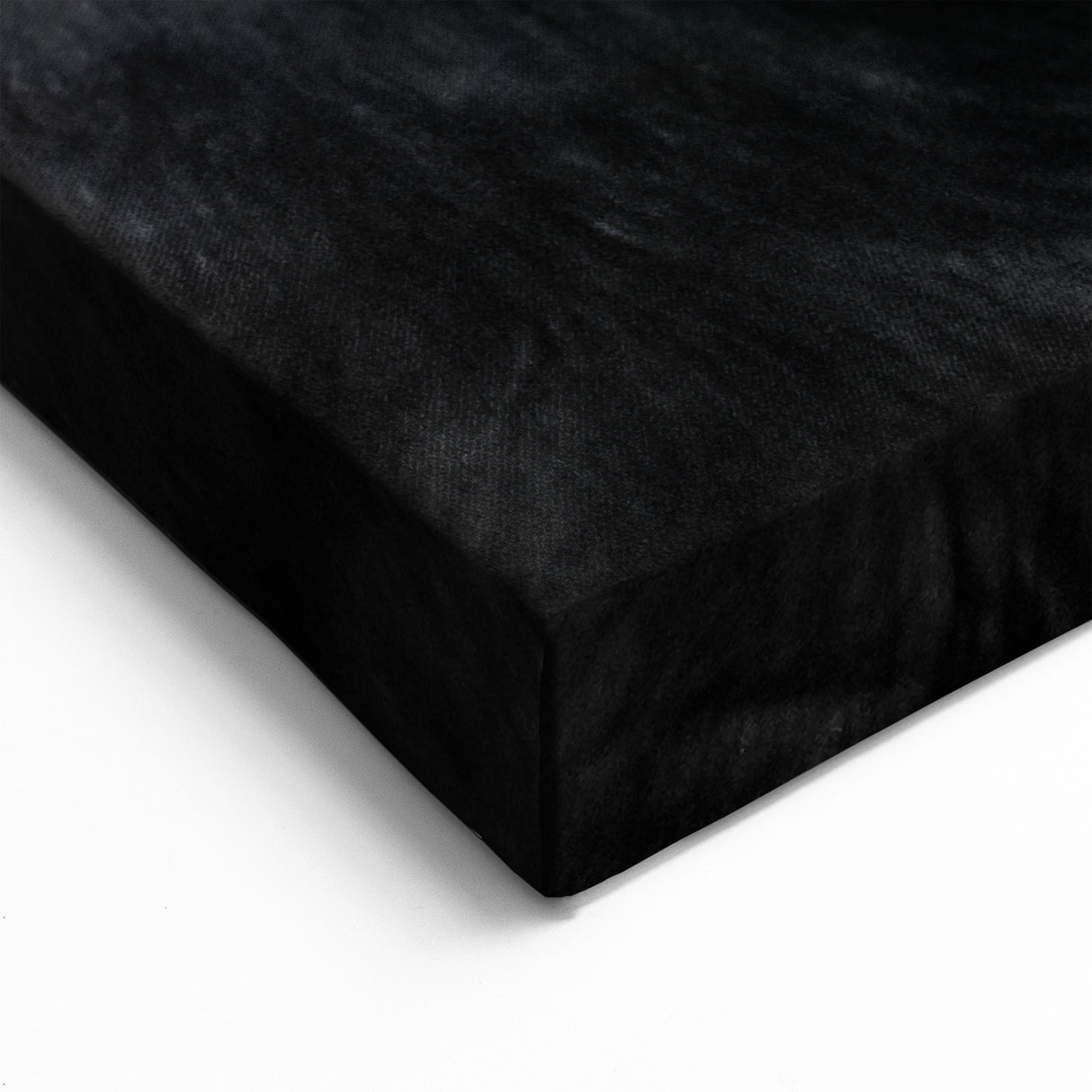 Bold Monochrome Buffalo Art - Black and White Bison Canvas Print