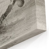 Vintage Crane Wall Art - Classic Engraving of Crane and Bird Canvas