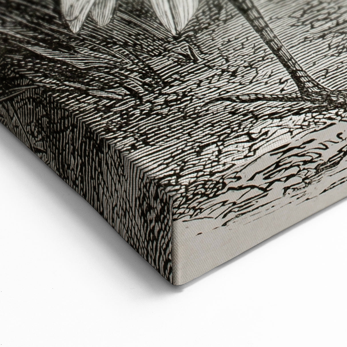 Vintage Crane Wall Art - Classic Engraving of Crane and Bird Canvas