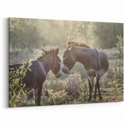 Serene Donkeys at Dawn - Rustic Canvas Art Print for Farmhouse Decor